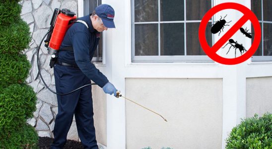 Gömeç Bit İlaçlama böcek ilaçlama ve haşere kontrolü — ilaclama-tr.com